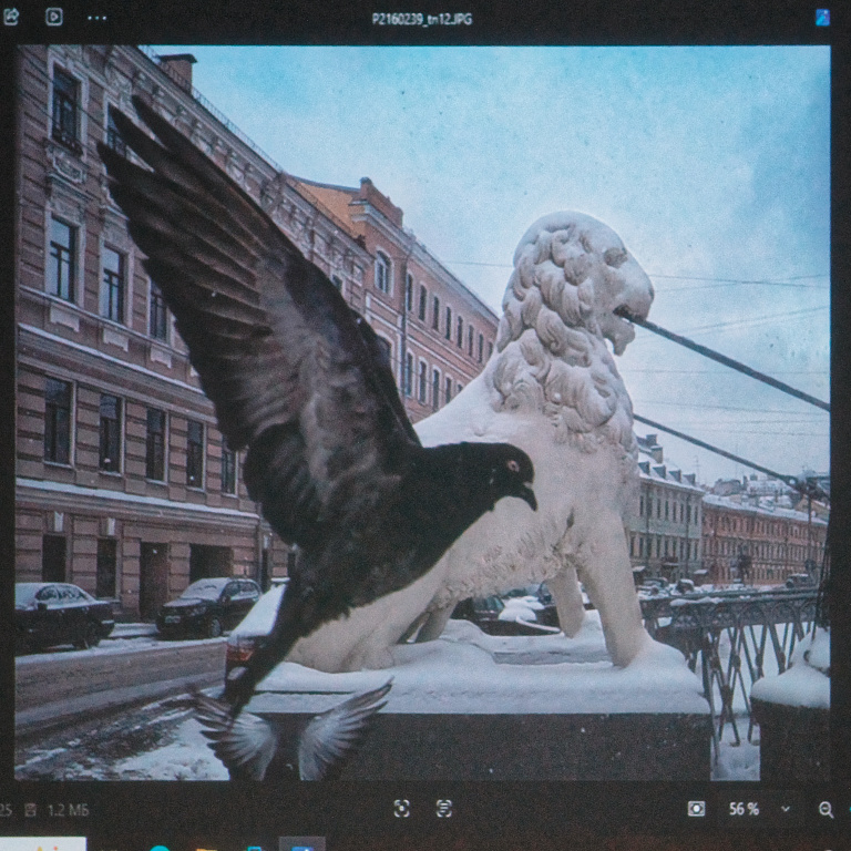 «Практика городской фотографии» от Александра Петросяна — фото 5