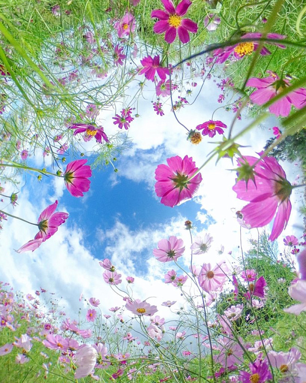 Делитесь и получайте удовольствие от фотографий 360°! — фото 9