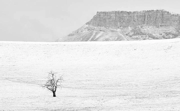 Обзор Pentax K-3 MkIII Monochrome от Арсена Алабердова — фото 12
