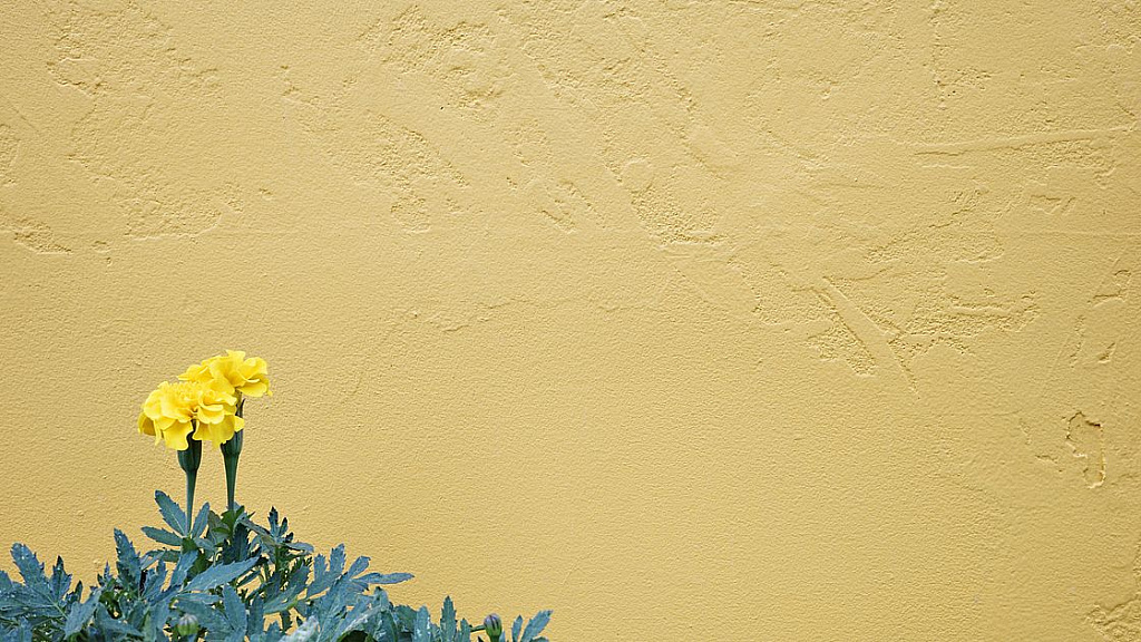 Композиция в формате 16:9 — фото 4