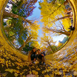 Делитесь и получайте удовольствие от фотографий 360°! — фото 13