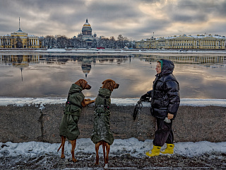 Александр Петросян: уличным фотографом можно стать только по любви — фото 2