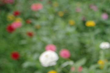 Снято на HD PENTAX-D FA21mmF2.4 ED Limited DC WR (F2.8)