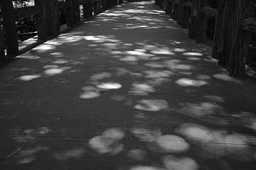 Monotone