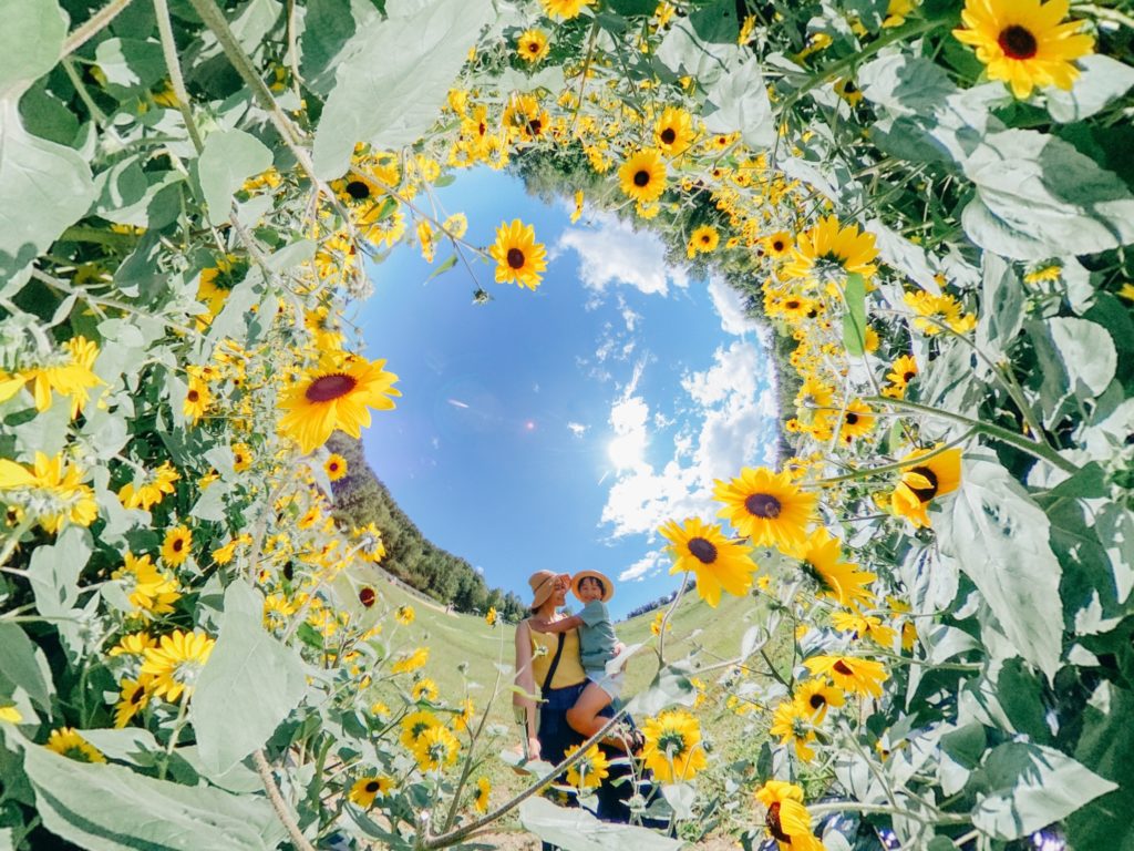 Делитесь и получайте удовольствие от фотографий 360°! — фото 1