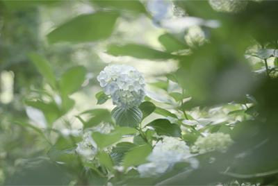 Отличительные особенности режимов Custom Image — фото 16